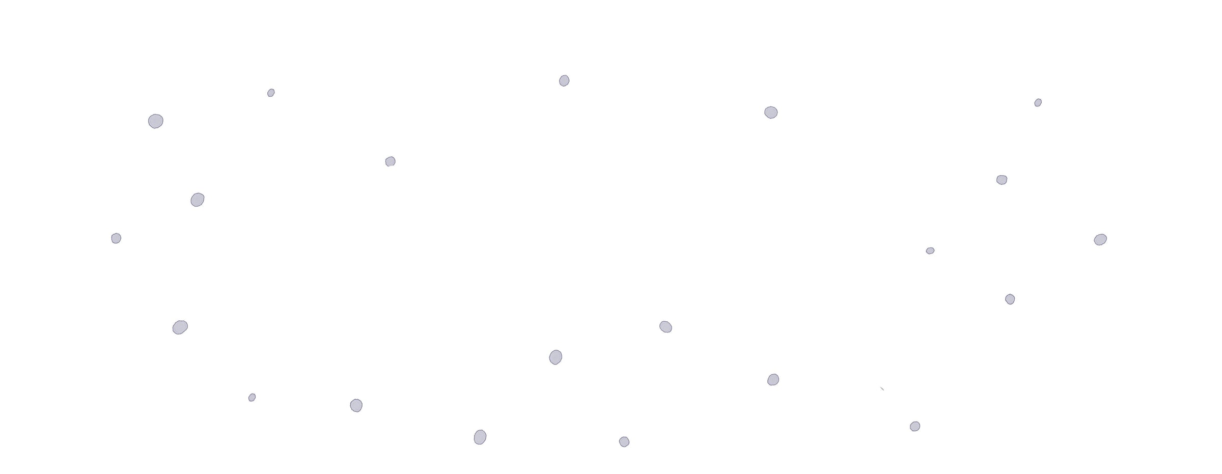 Banner Bild